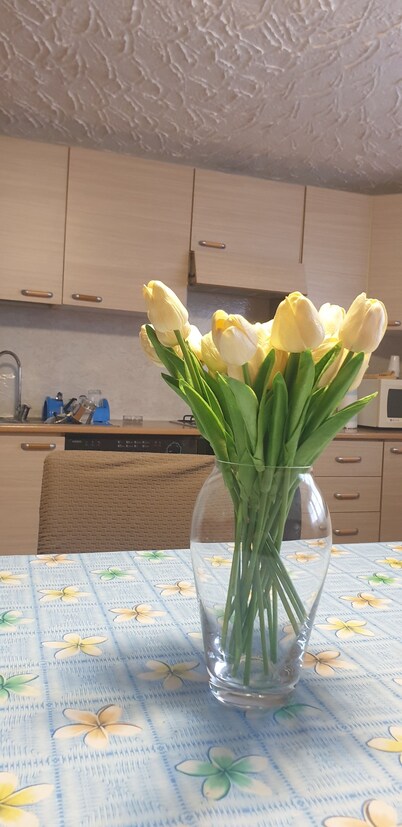 Love nest Parma