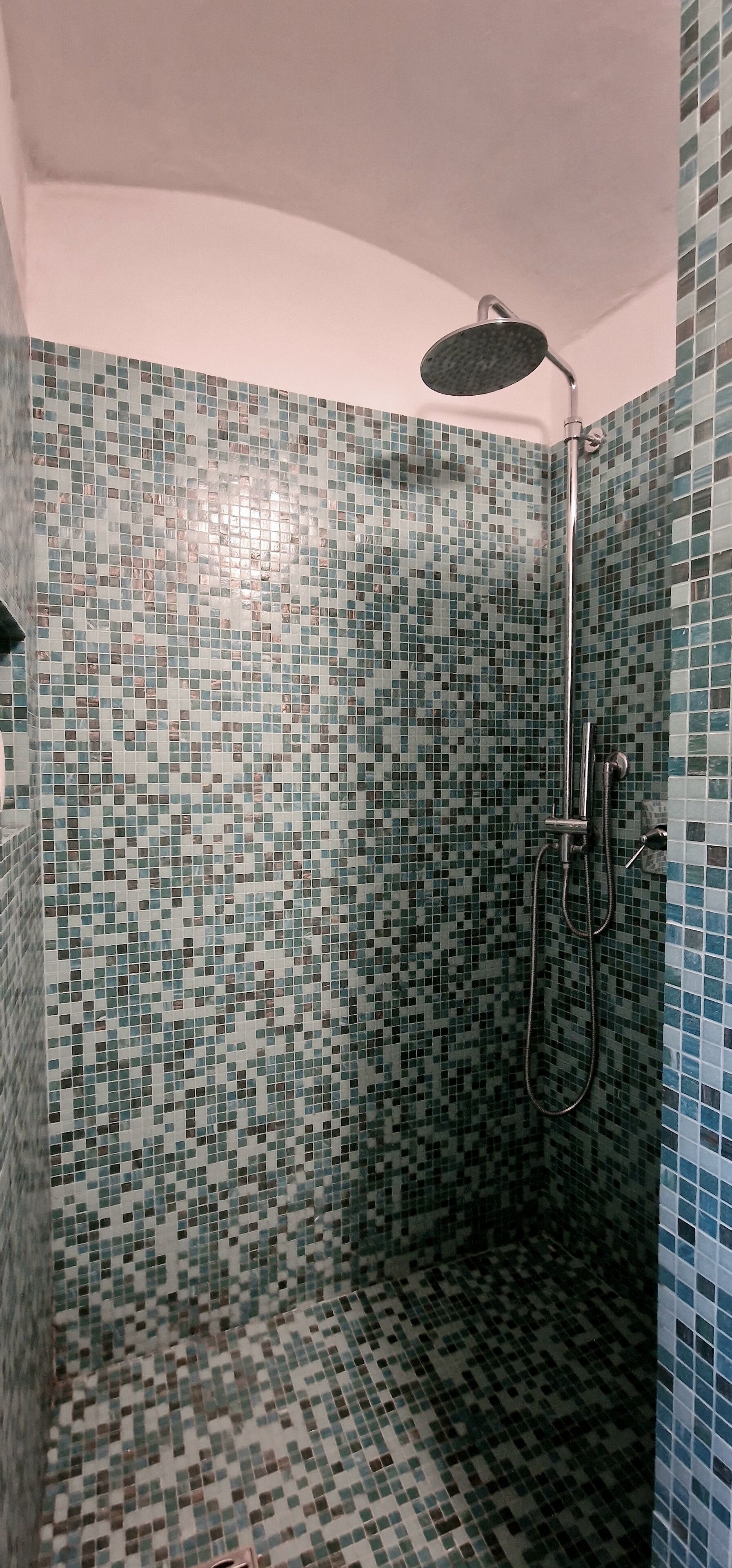 Une douche équipée d’un pommeau de douche à main et d’un pommeau de douche à main avec un flexible.