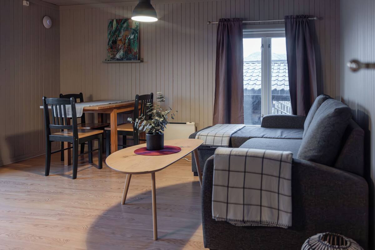 A cozy living room with a sofa, a dining table with chairs, a small table with a plant, and a window with curtains.