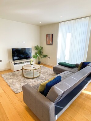 Fernseher, Arbeitsbereiche