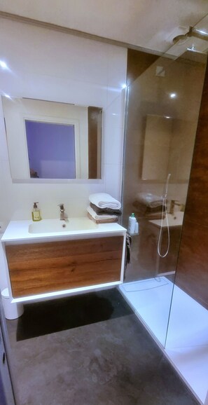 Shower, hair dryer, soap, shampoo - Bel Appartement, Idéal Pour les JO, Disney, Paris (Vincennes)