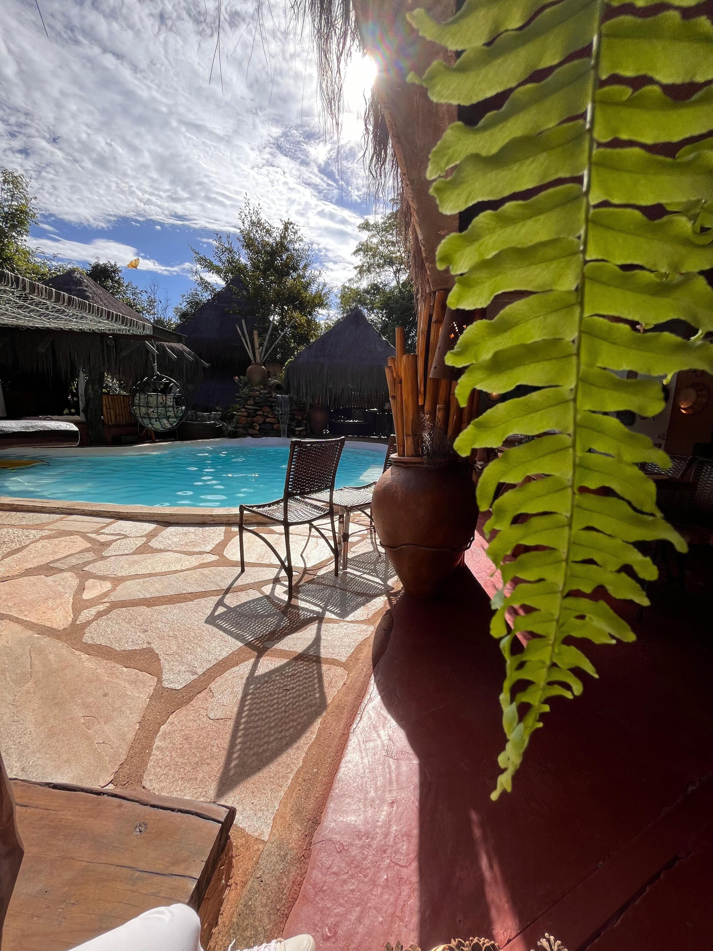 Uma área de piscina com um pátio de pedra, uma cadeira e um vaso de planta.