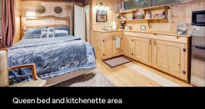 Cozy studio cabin, nestled in the trees, under a mile to Mt. Rainier entrance.