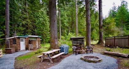 Cozy studio cabin, nestled in the trees, under a mile to Mt. Rainier entrance.