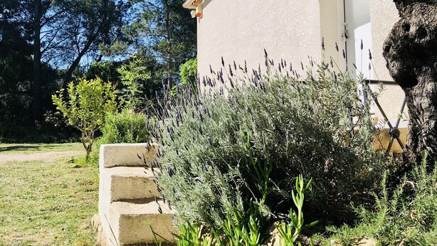 A building with a stone staircase leading to a door, surrounded by lavender bushes and a clear blue sky. - Gîte Rural Familial Entre Mer et Pays Cathare (Montséret)