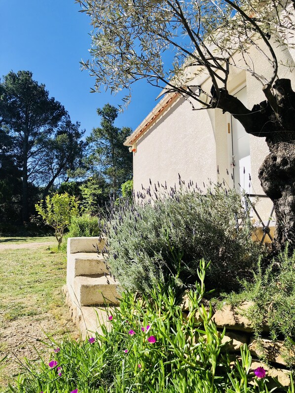Property grounds - Gîte Rural Familial Entre Mer et Pays Cathare (Montséret)
