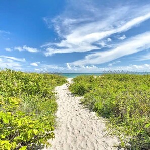 A sandy path leading to a beach with dense green vegetation on both sides. - 8BD Ft Pierce Beach Getaway - Great for Family Group (Fort Pierce)