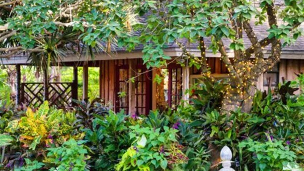 Ein Garten mit verschiedenen Pflanzen und einem Pavillon.