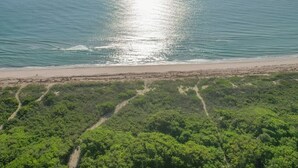 Eine Küstenlandschaft mit Strand und üppiger Vegetation im Vordergrund.