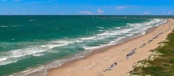 Secluded Beachfront Vibes Surf Pet Friendly