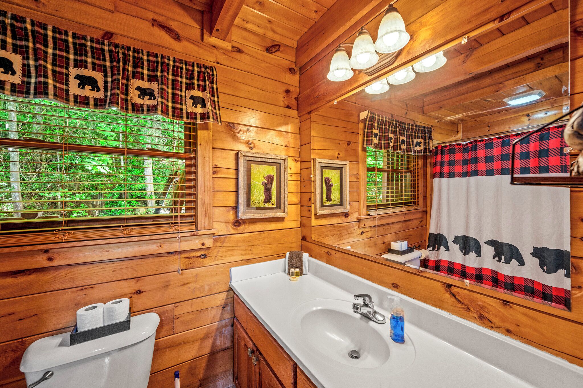 Un baño de cabaña de madera con un espejo grande, un lavamanos y un inodoro.