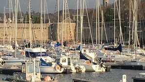 A marina with multiple boats docked at various piers. - Maison de Bord de Mer, Calme, Avec Joli Jardin Clos de Murs, 4min de la Plage ! (Concarneau)