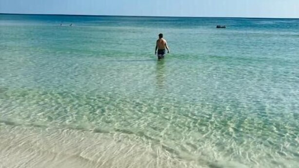 Eine Strandansicht mit klarem türkisblauem Wasser und einem Sandstrand.