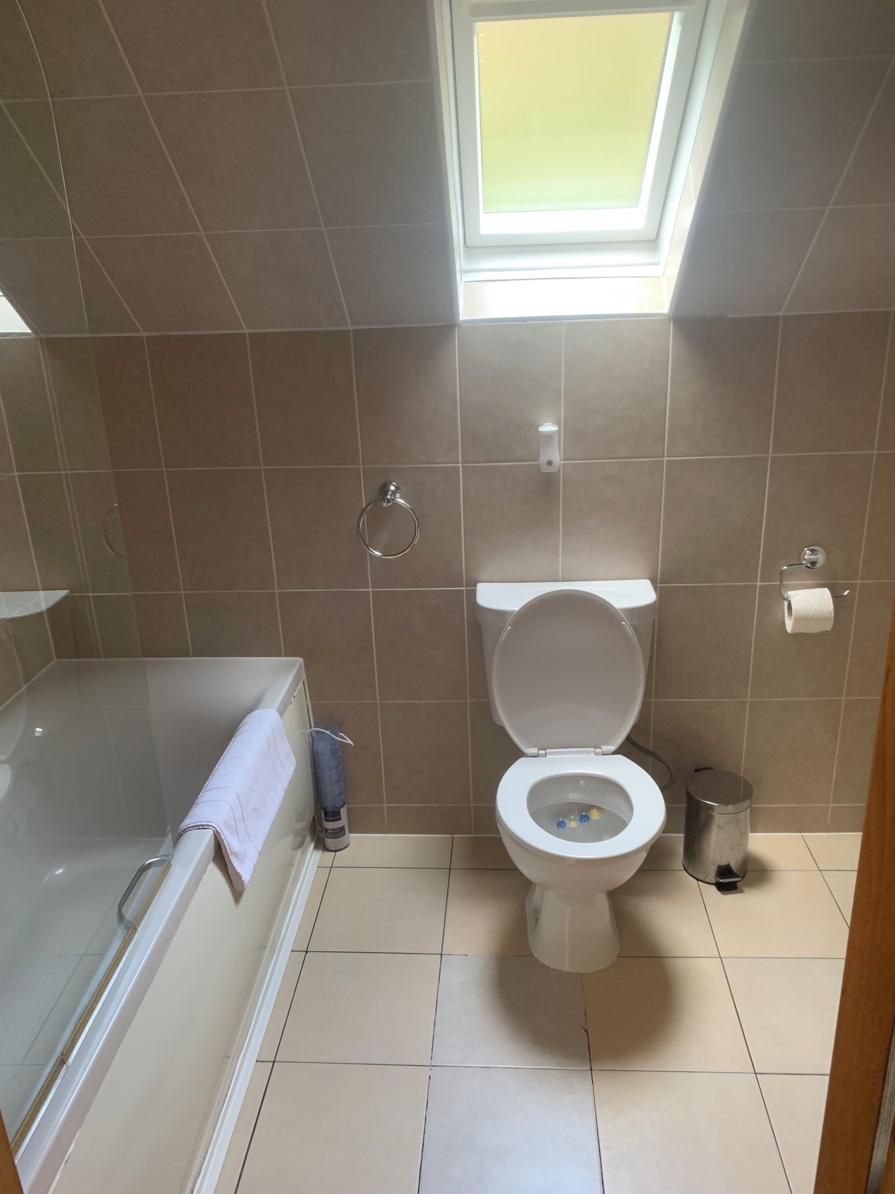 A bathroom with a toilet, a bathtub, and a skylight.