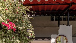 A potted plant with red flowers, a wooden gate, a small sink with a decorative vase, and a mirror on the wall.