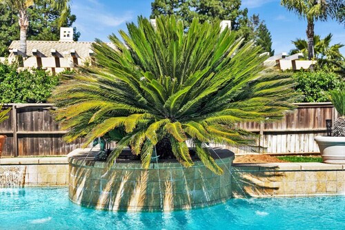 Multi-Family Estate Pool HT Gym Sauna Full Kitchen