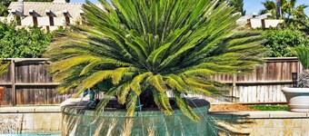 Multi-Family Estate Pool HT Gym Sauna Full Kitchen