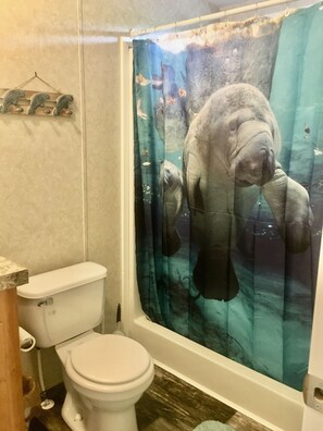 Douche, sèche-cheveux, serviettes fournies