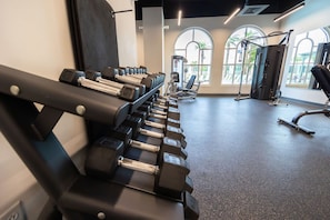 Un gimnasio con filas de mancuernas, máquinas de ejercicio y grandes ventanales con vista a palmeras.