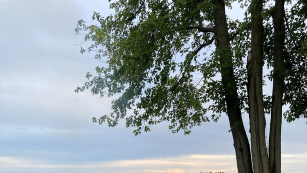 A lakeside campfire with chairs and a table, surrounded by trees and a view of boats on the water.