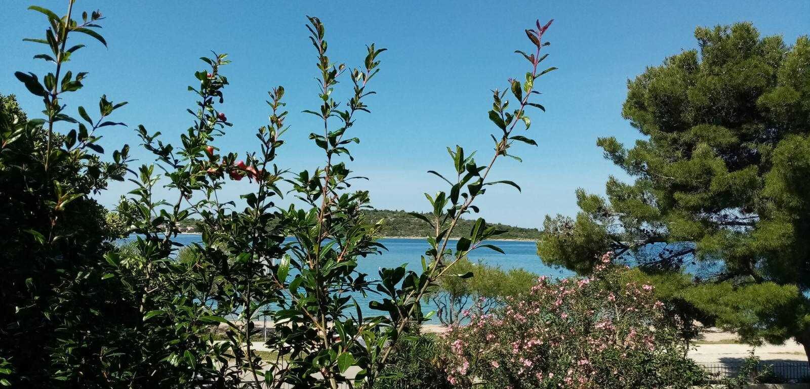 A coastal landscape with dense greenery and a clear view of the sea.