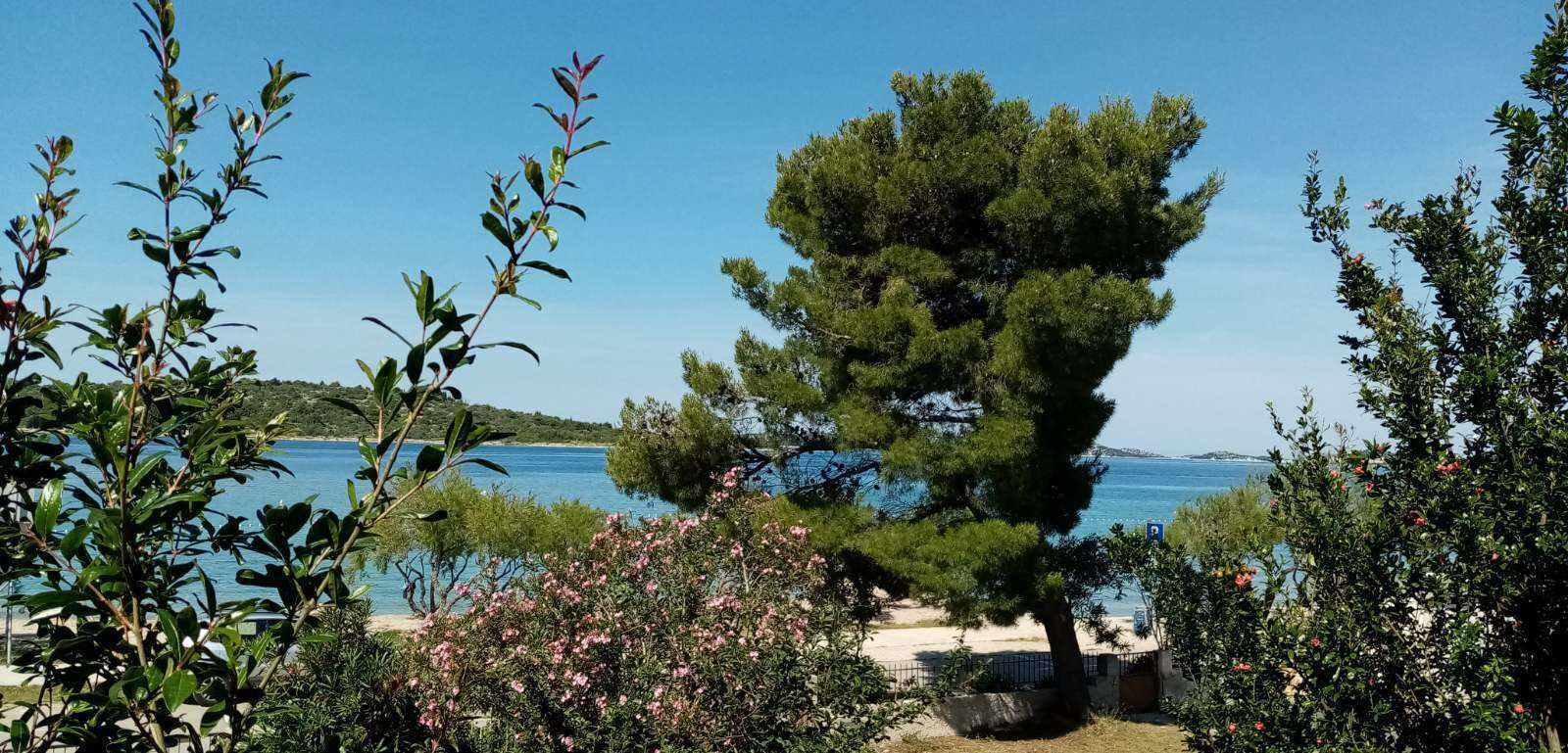 Ein Küstengarten mit einem markanten Baum und freiem Blick auf das Meer, sowie ein Parkschild.