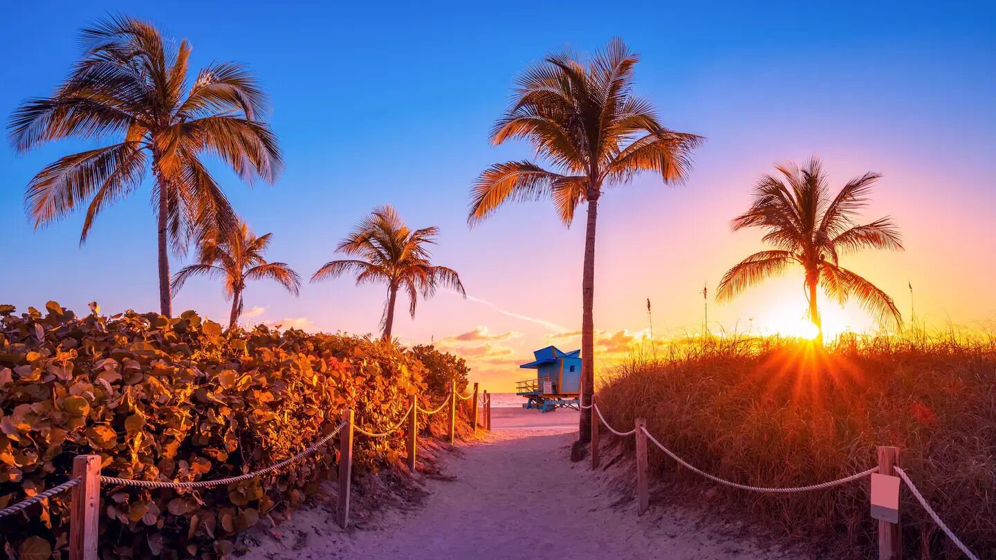 A beach path lined with palm trees and a lifeguard tower, leading to the ocean.