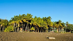 Ein Strand mit Palmen und einem Gebäude im Hintergrund.