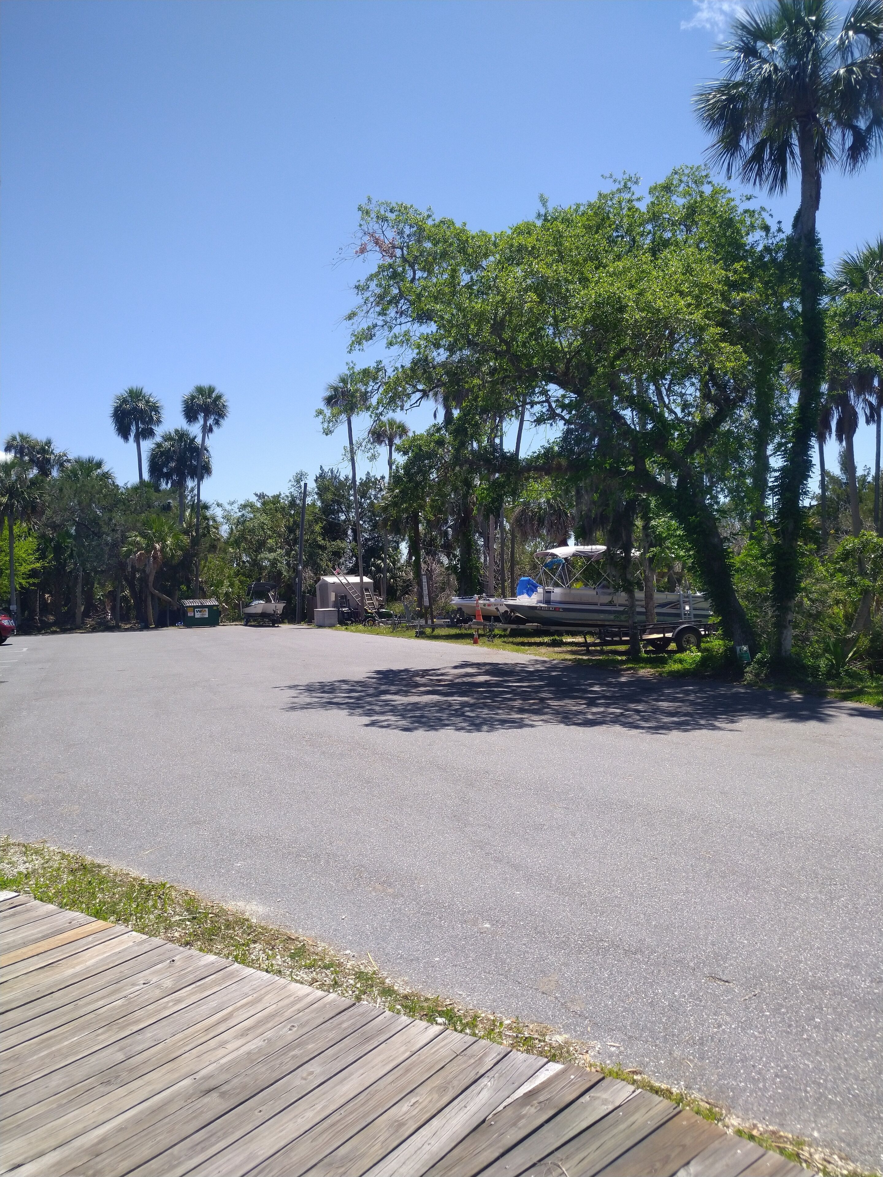 A spacious parking area with a wooden deck in the foreground, surrounded by lush greenery and tall palm trees.