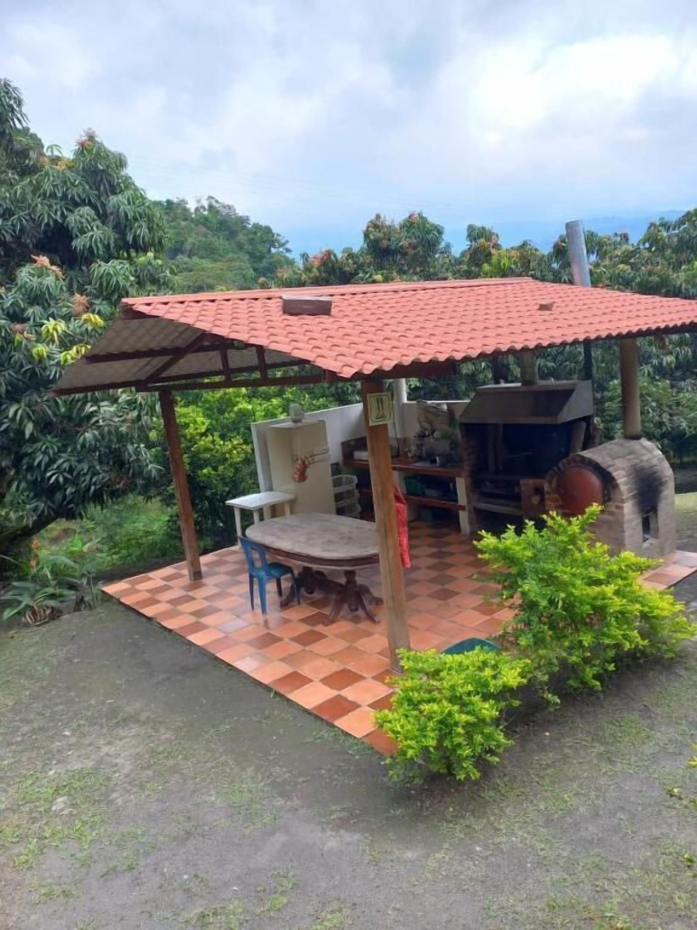 テラス / パティオ