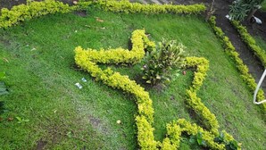 Un jardin dont les haies sont taillées en forme d’étoile.