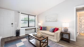 Smart TV, fireplace, books, music library