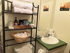 Regadera, secadora de cabello, toallas, jabón 