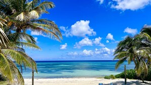 A beach with clear turquoise water, palm trees, and a few beach chairs. - Reef Romance, Rum Point Oceanfront Villa with Private Pool and Gorgeous Beach! (Cayman Islands)