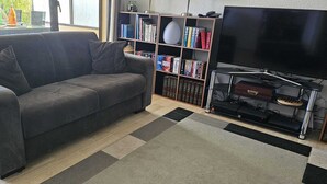 Un salon avec un canapé gris, une bibliothèque, un téléviseur à écran plat et une table basse.
