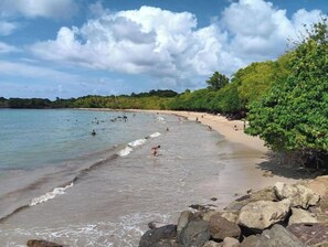 Beach - THE BAMBOO. (La Trinité)