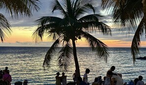 Plage à proximité, sable blanc, 2 bars de plage
