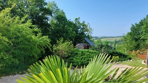 Ländliche Landschaft mit einem Holzhaus, umgeben von üppiger Vegetation und Bäumen.