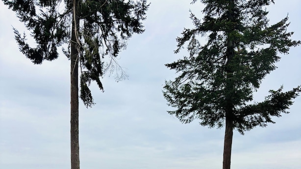 Una vasca idromassaggio con vista aperta sul paesaggio circostante, tra cui alberi e montagne lontane.