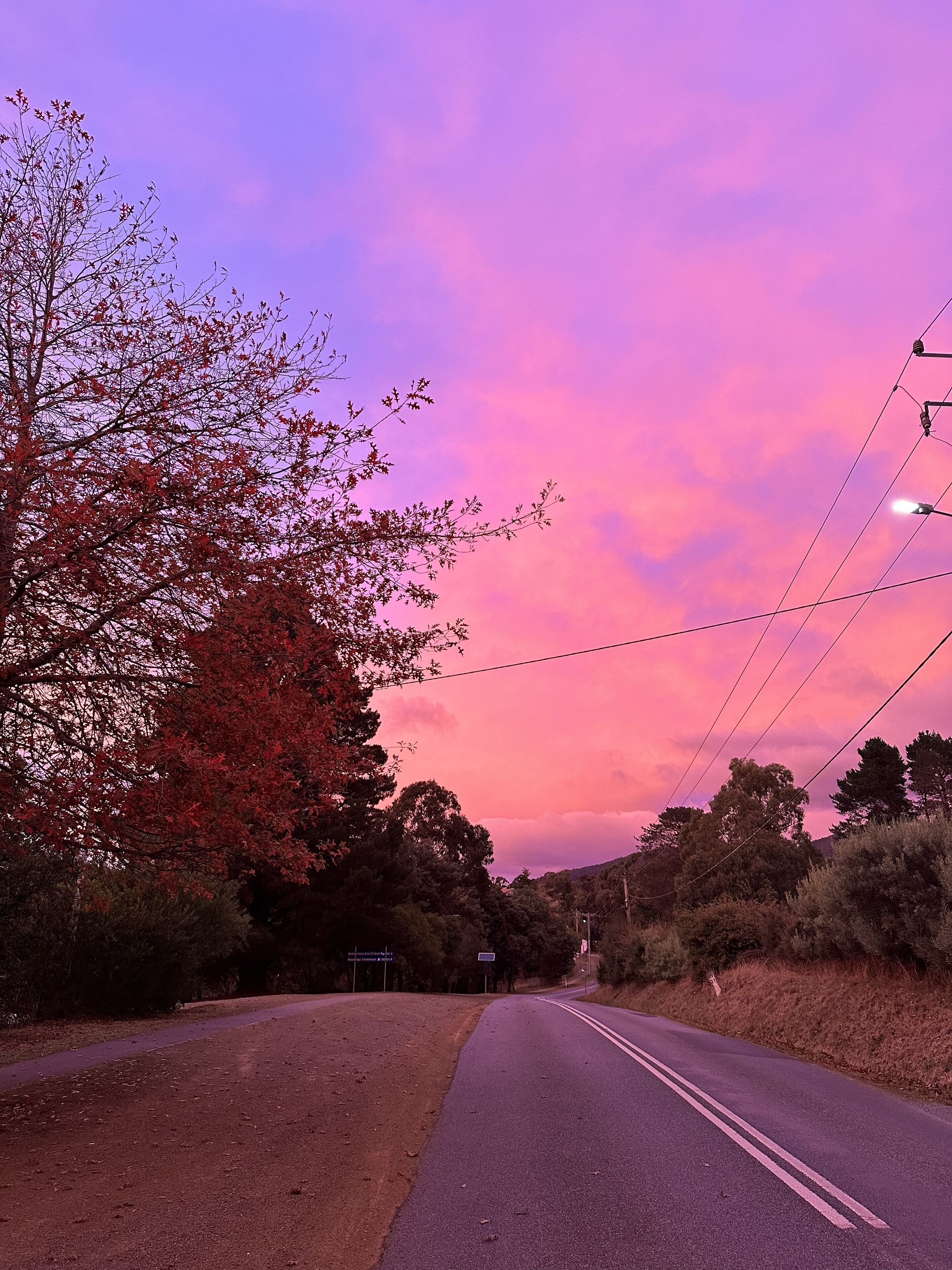 A road with a clear sky and trees on the side.