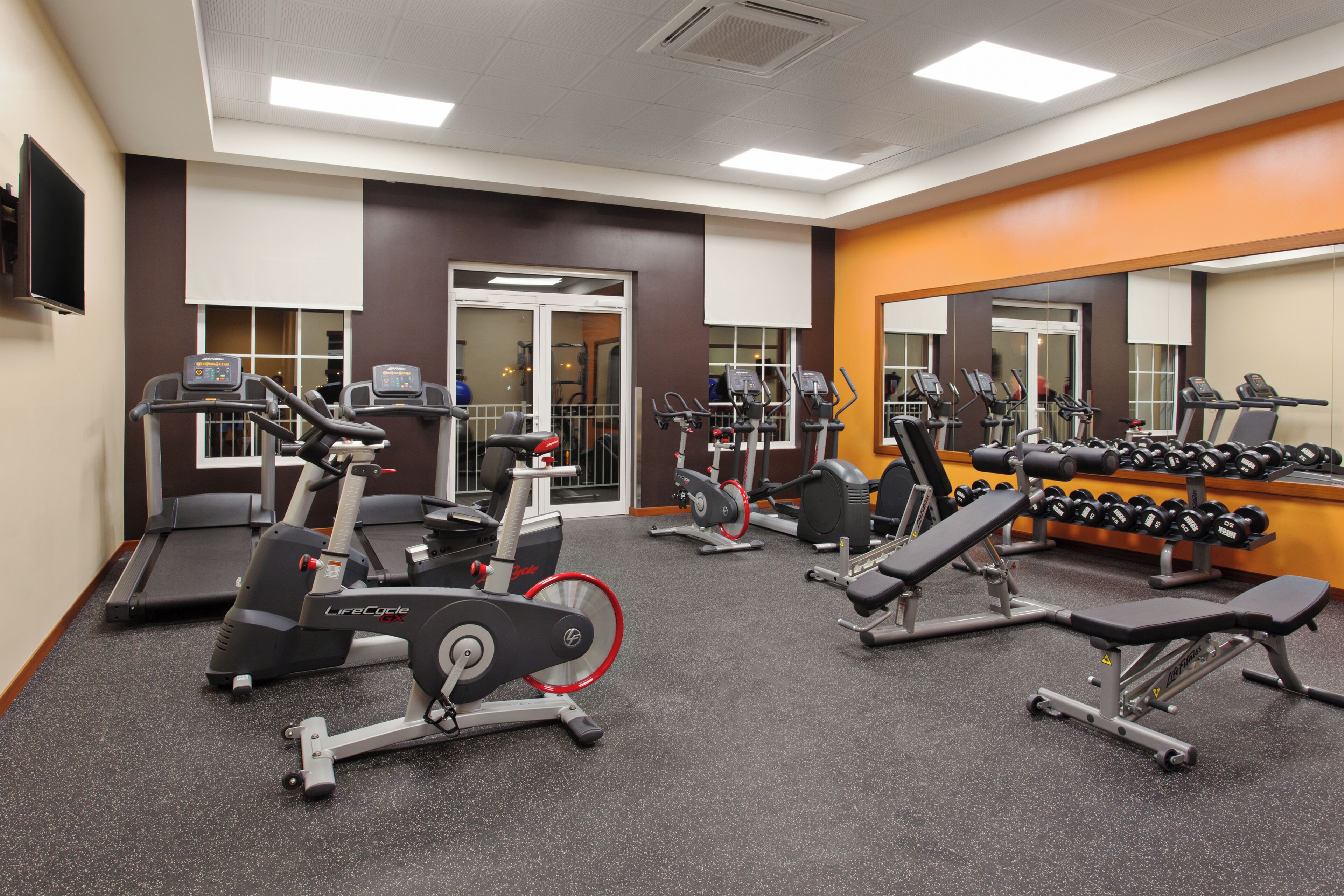A gym with treadmills, elliptical machines, and weight benches.