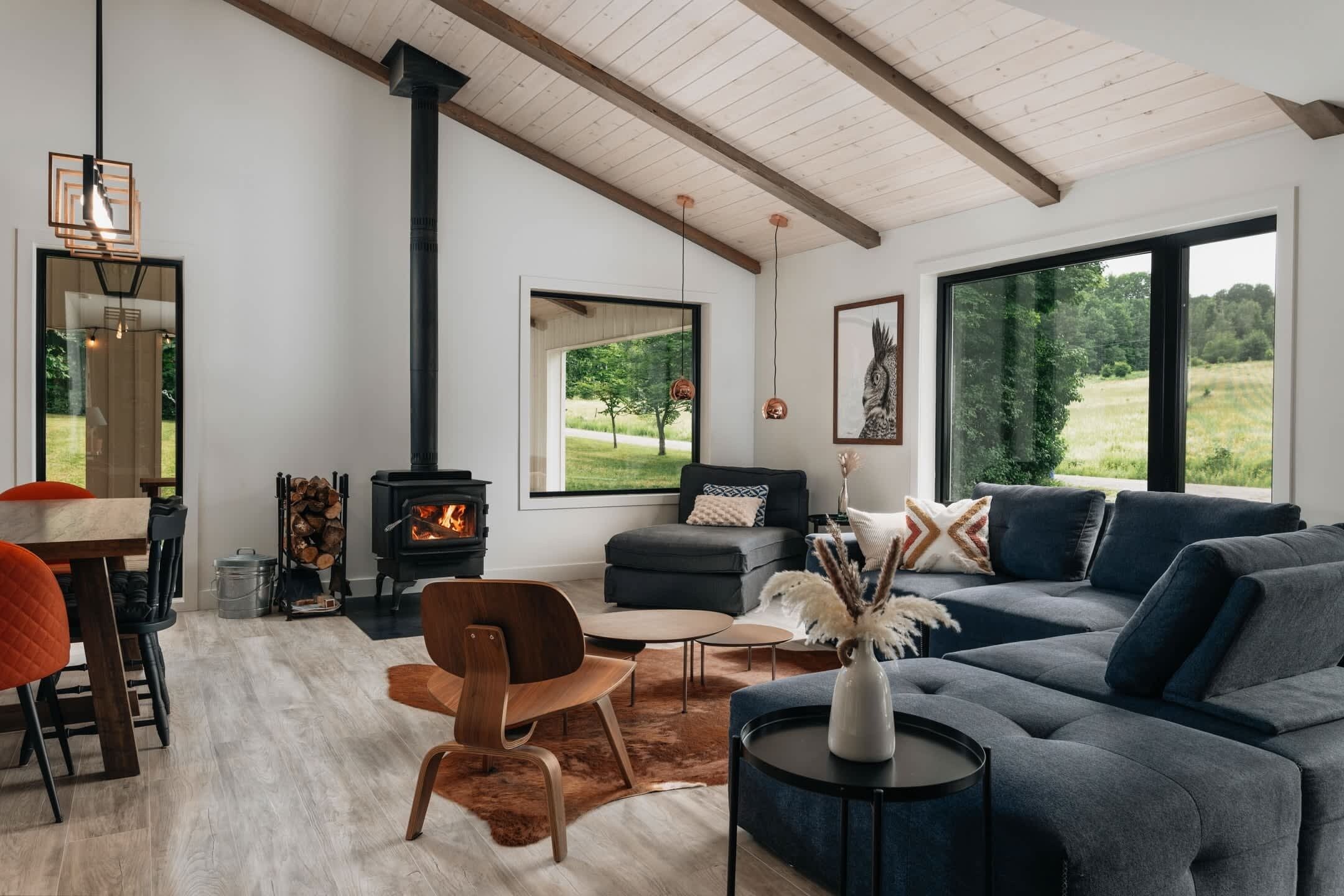 TV, fireplace, books, offices