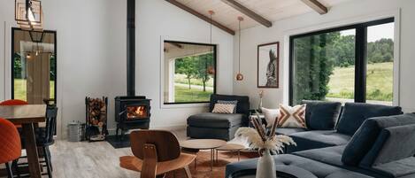 TV, fireplace, books, offices