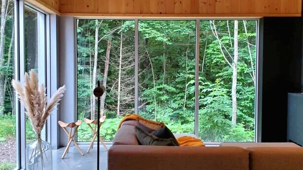 Un interior moderno con un amplio ventanal que ofrece vistas a un bosque, un sofá con cojines y un jarrón decorativo con plumas de pampa.