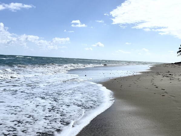 Sun loungers, beach towels