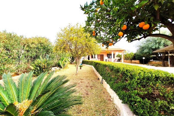 Property grounds - Villa del Mandorlo - Ortigia Holidays (Arenella)