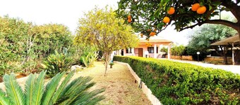 Villa del Mandorlo - Ortigia Holidays