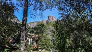 Eine rustikale Holzhütte, umgeben von dichtem Wald und einem markanten Felsen im Hintergrund.