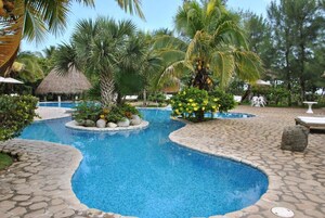 Un área de piscina con senderos de piedra, palmeras y plantas tropicales.