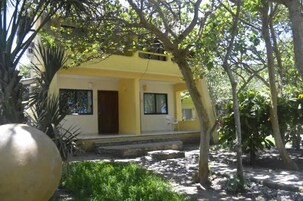 Un edificio amarillo con puerta y ventanas, rodeado de árboles y vegetación.